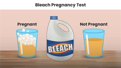 positive negative bleach pregnancy test|Bleach Pregnancy Test: How to Take One, Accuracy and Safety.